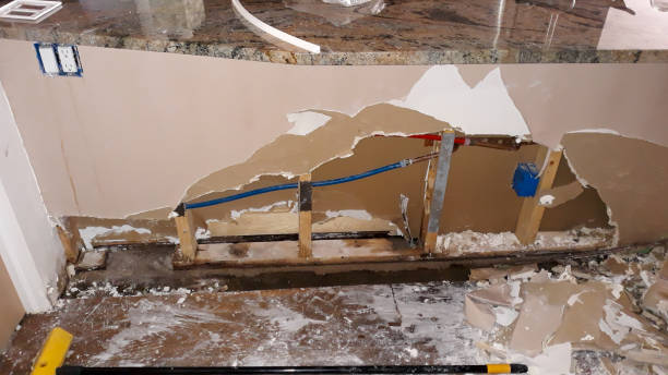 Best Water damage cleanup near me  in Wood River, NE