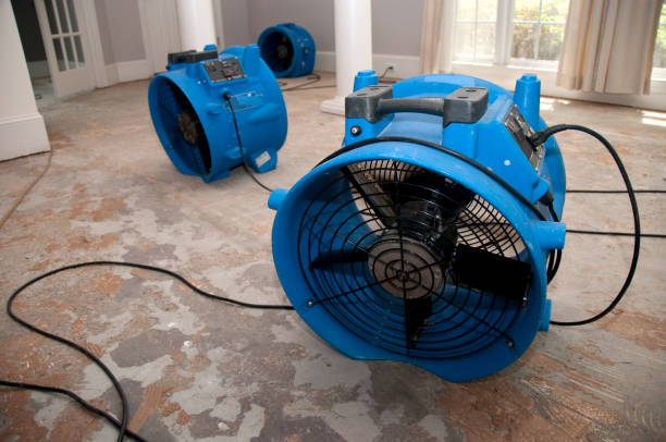 Best Emergency water extraction  in Wood River, NE