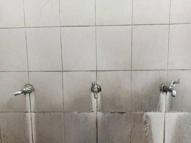 Best Commercial water damage restoration  in Wood River, NE