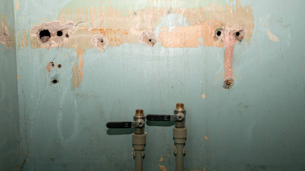 Best Basement water damage restoration  in Wood River, NE