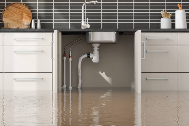 Best Water damage repair service  in Wood River, NE